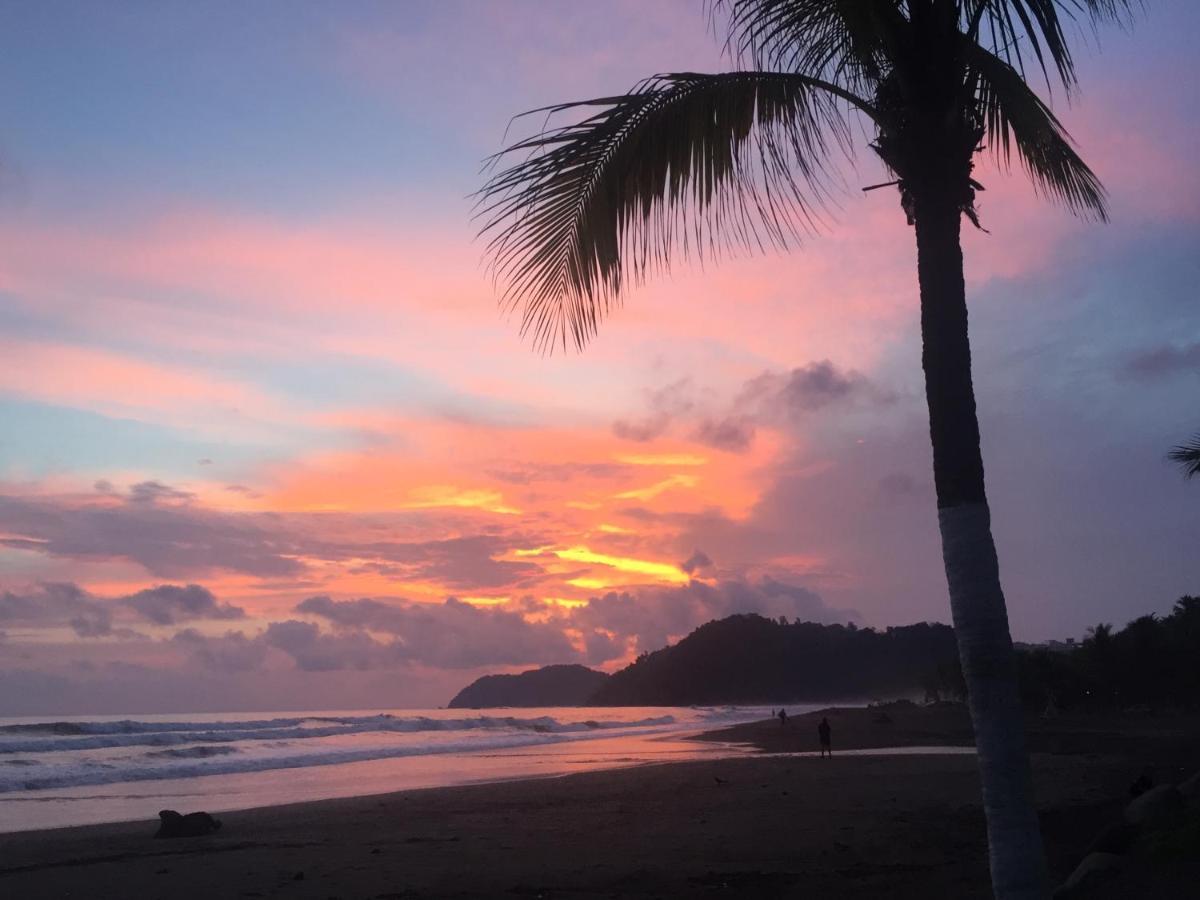 Uvita Oasis Retreat With Villa Cabins And Apartment Экстерьер фото