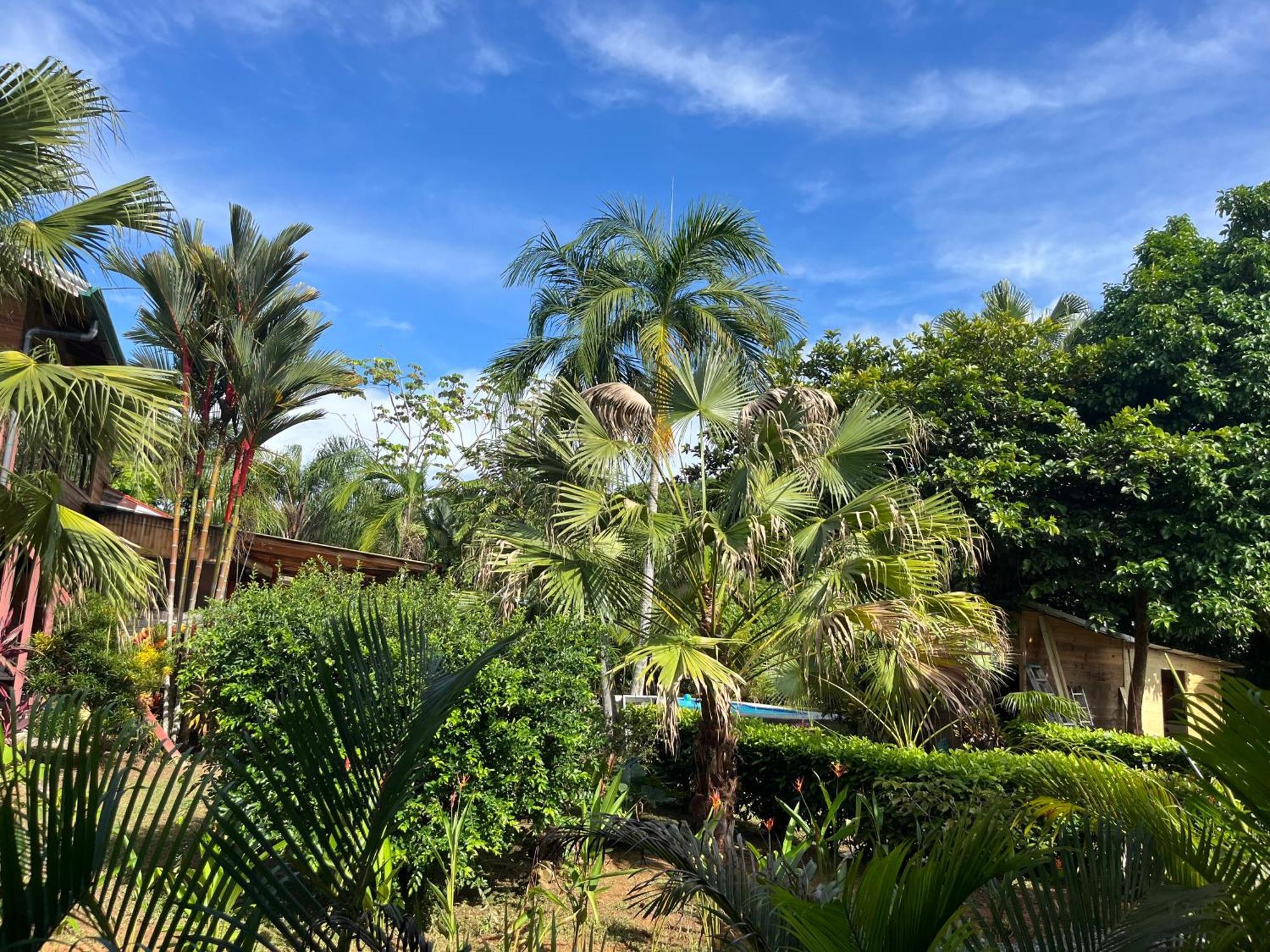 Uvita Oasis Retreat With Villa Cabins And Apartment Экстерьер фото