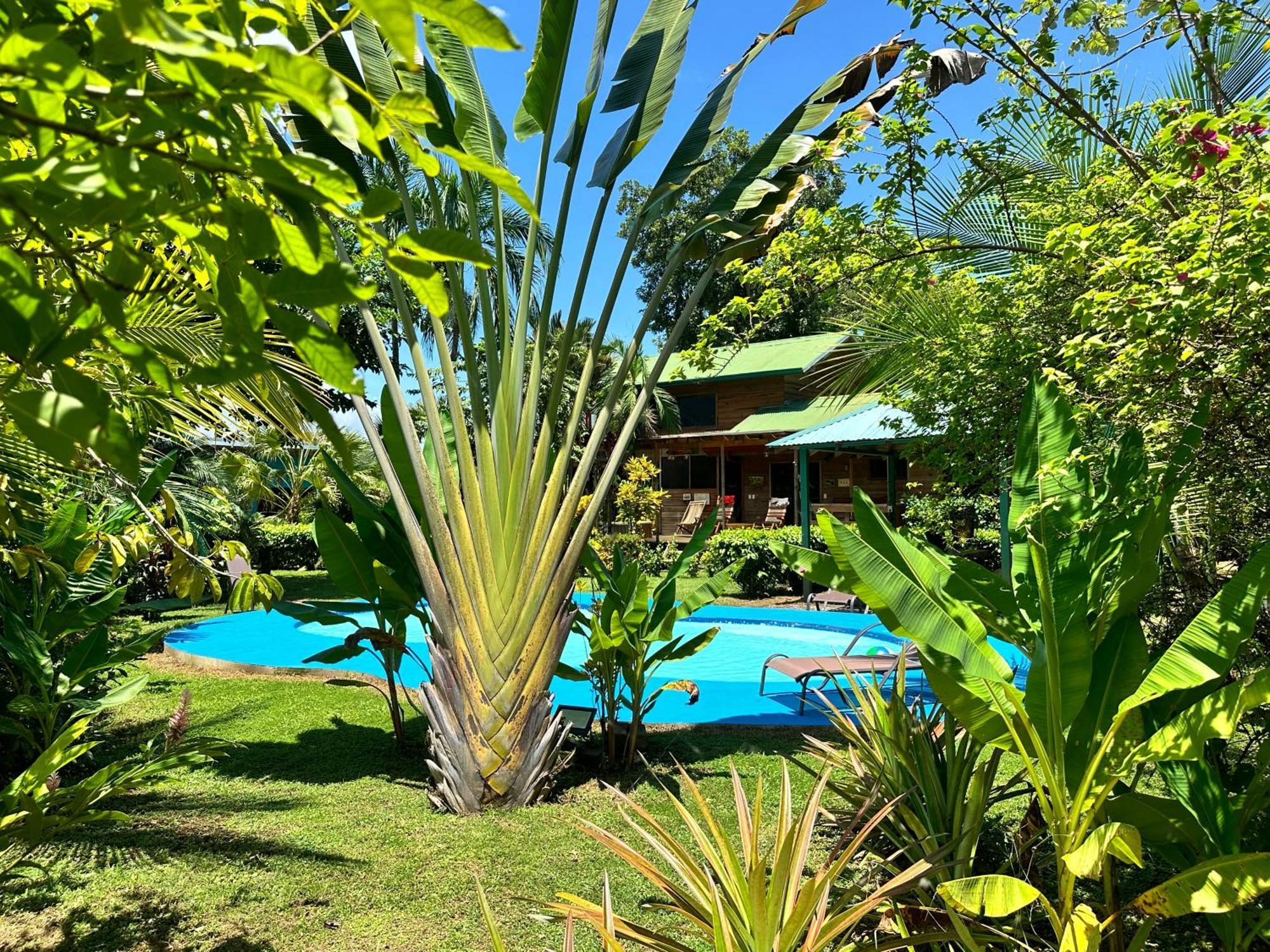 Uvita Oasis Retreat With Villa Cabins And Apartment Экстерьер фото
