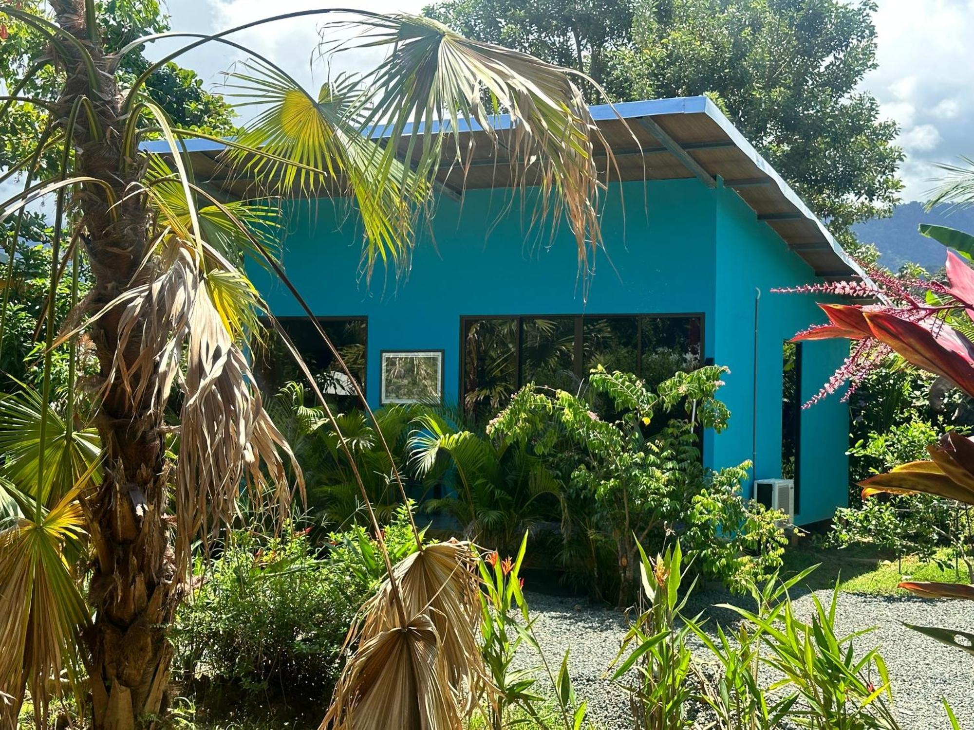 Uvita Oasis Retreat With Villa Cabins And Apartment Экстерьер фото