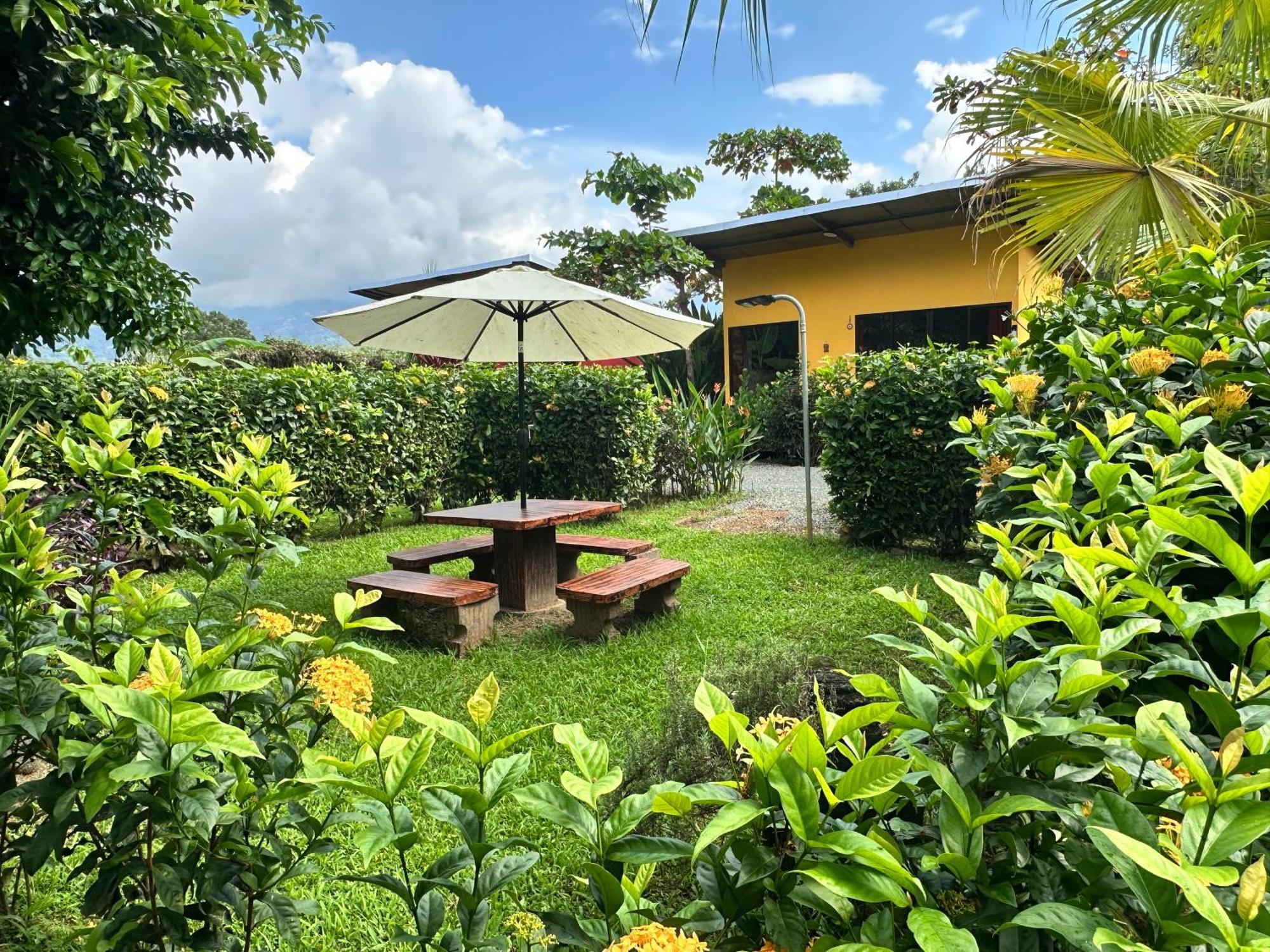 Uvita Oasis Retreat With Villa Cabins And Apartment Экстерьер фото