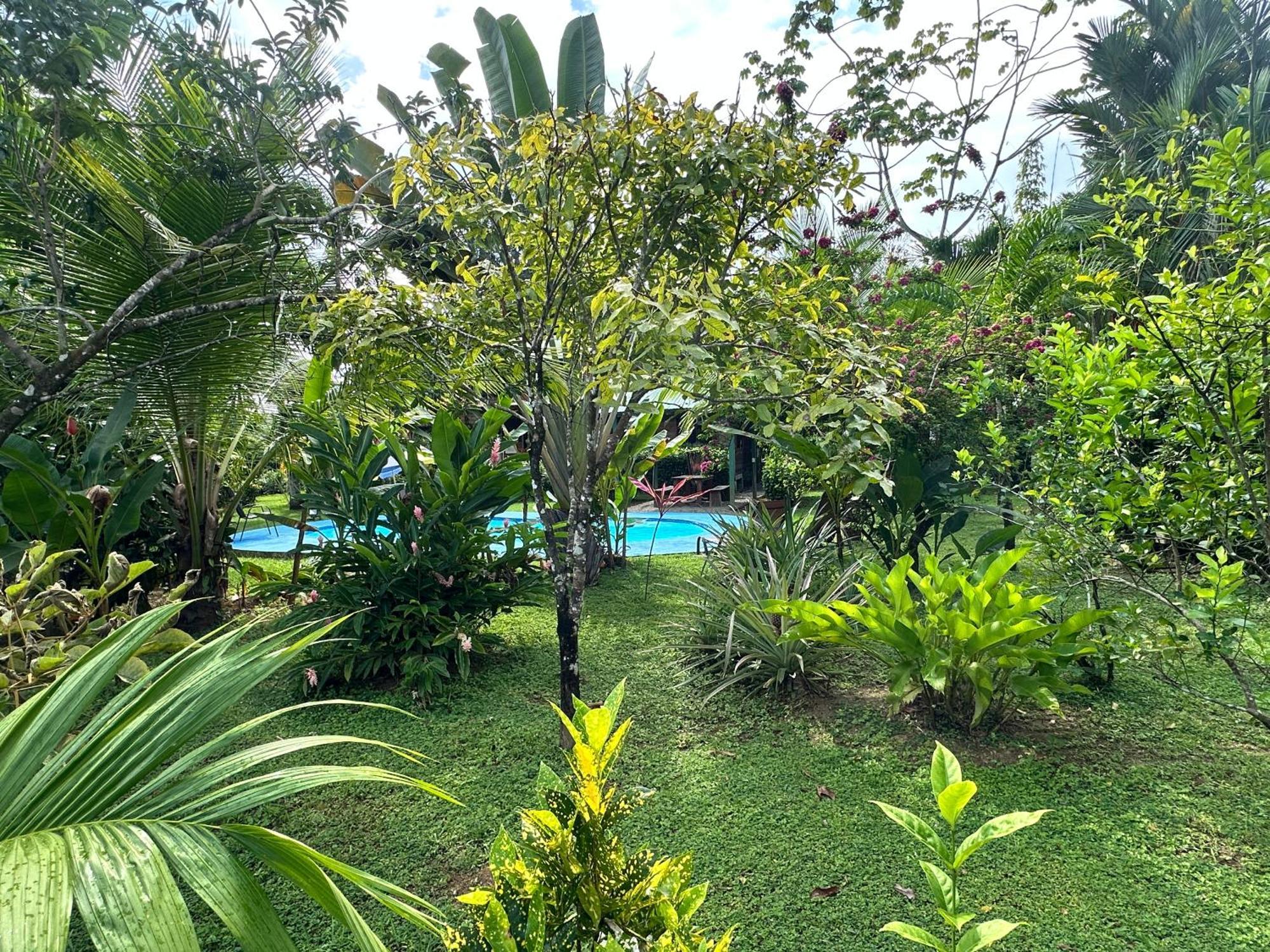 Uvita Oasis Retreat With Villa Cabins And Apartment Экстерьер фото