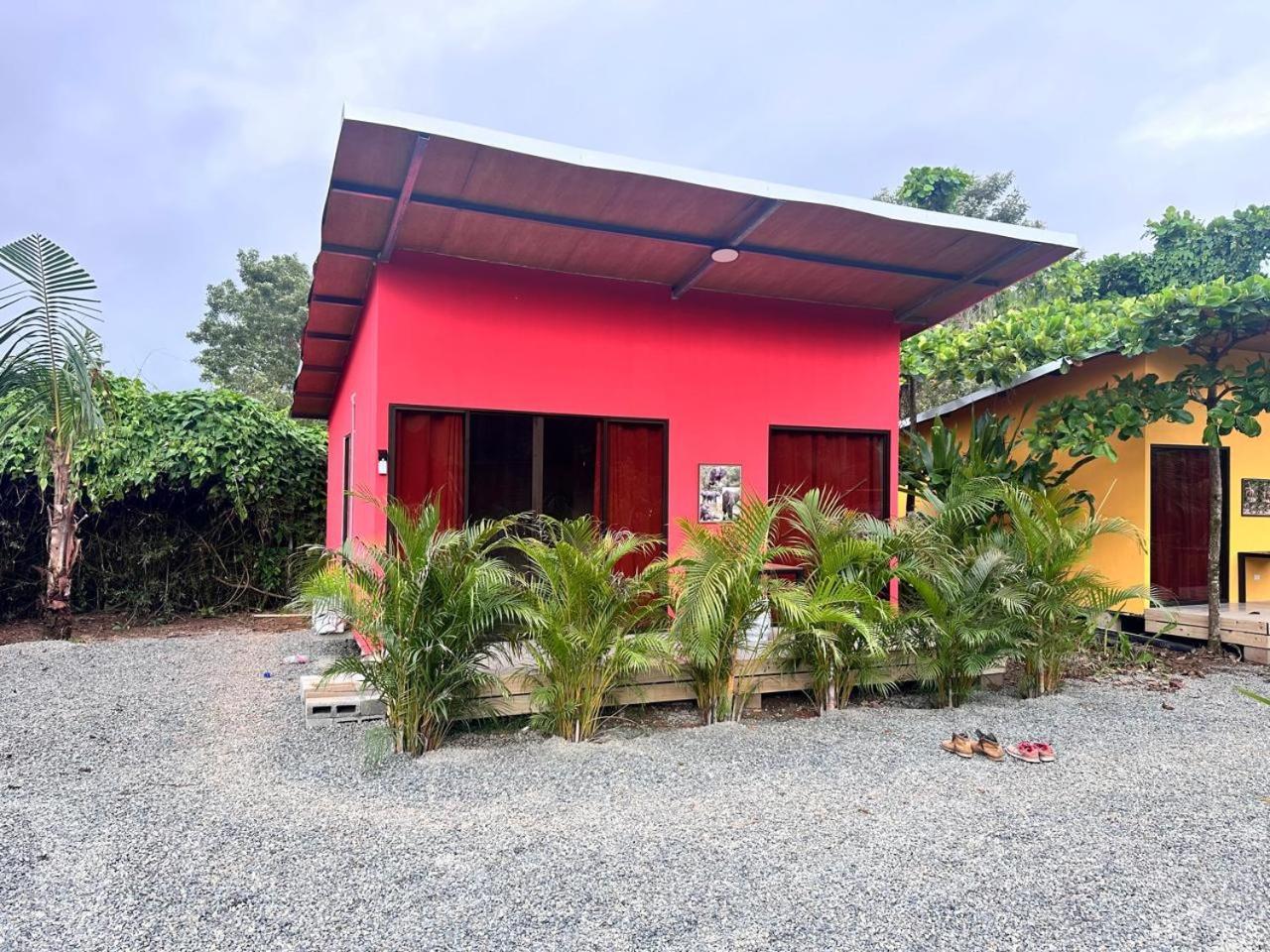 Uvita Oasis Retreat With Villa Cabins And Apartment Экстерьер фото